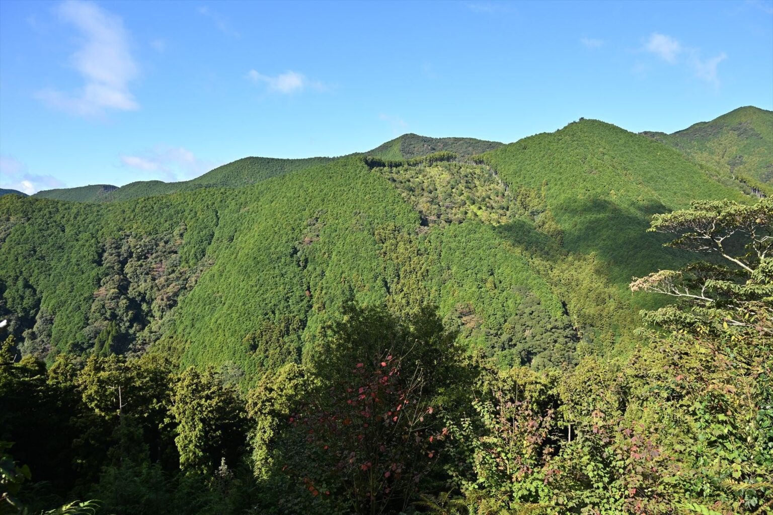紀州材を「山から建物」まで一貫見学 山長商店が1泊2日のメディア向けツアー募集