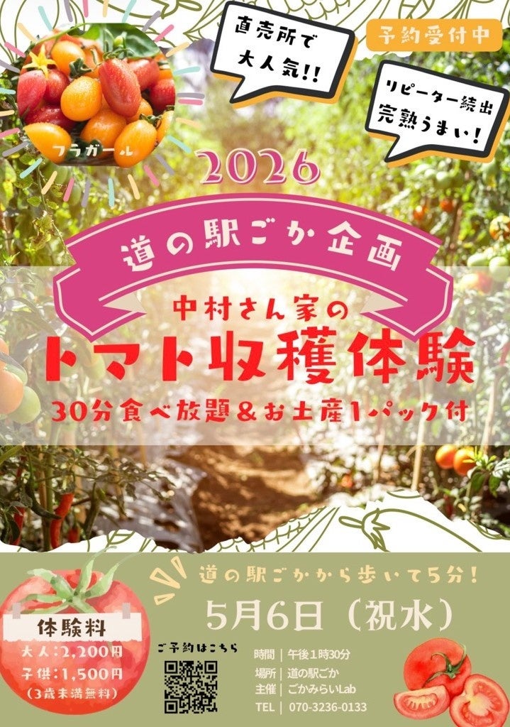 ふるさと納税で「完熟ミニトマト収穫体験」 茨城・五霞町が5月6日に開催
