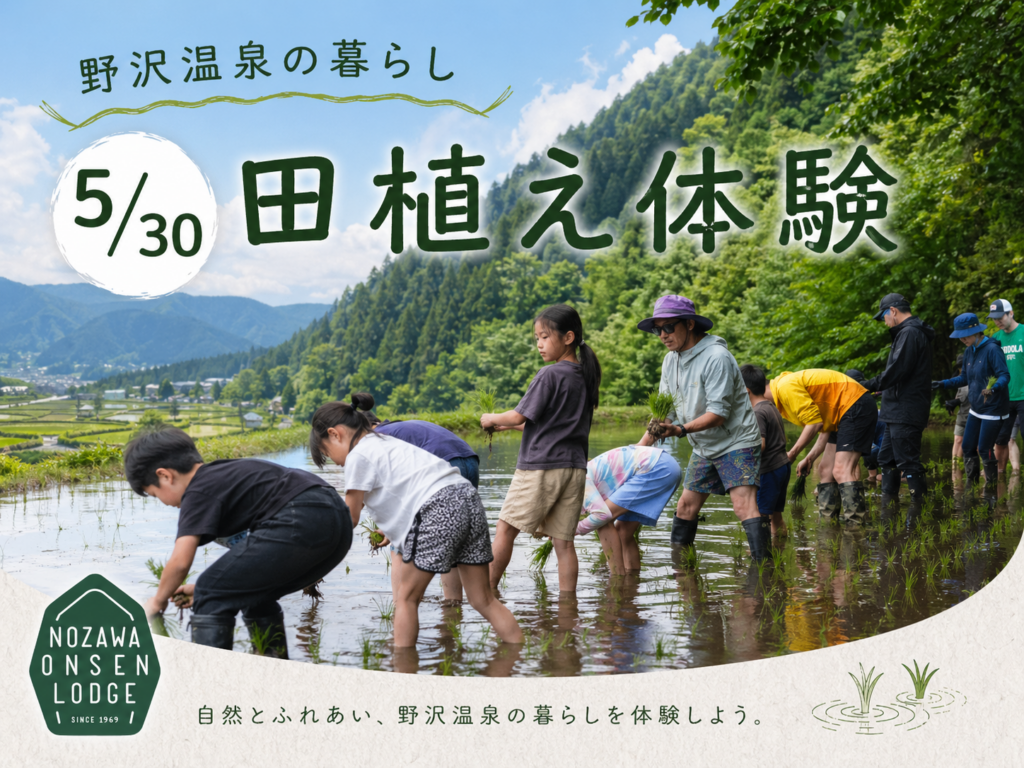 野沢温泉村で田植え・稲刈り体験、参加費3000円で収穫米を後日発送