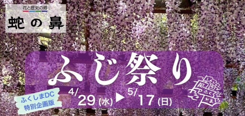 福島・本宮「蛇の鼻」でふじ祭り特別版 樹齢400年超の大フジ棚を夜間ライトアップ