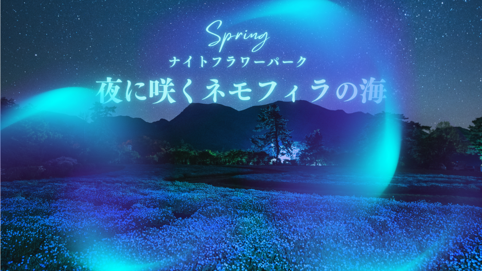 くじゅう花公園、春初の夜間営業でネモフィラをライトアップ GW含む計9日間