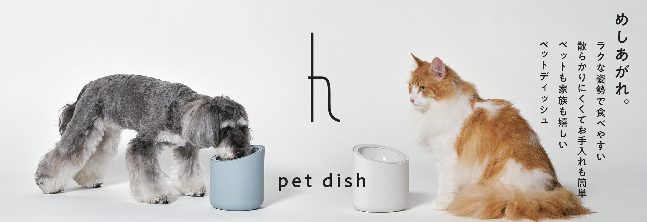 h tag「ペットディッシュ」発売へ、食べこぼし対策と肥前吉田焼素材で狙う“インテリア化”するペット食器需要 h tag「ペットディッシュ」発売へ、食べこぼし対策と肥前吉田焼素材で狙う“インテリア化”するペット食器需要